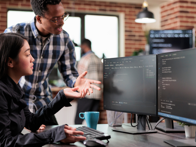 software development